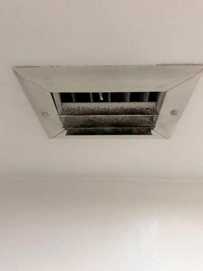 Air handler interior before professional cleaning and treatment